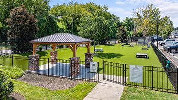 Dog park